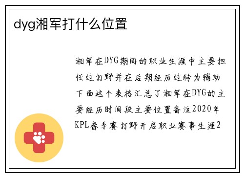 dyg湘军打什么位置